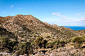 Hania, the Akrotiri peninsula. From the Gouverneto monastery a path leaves to the north and enters an impressive and majestic gorge called Avlaki.